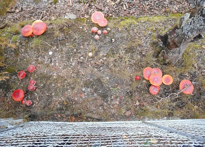 Apartman Elisabeth Železná Ruda